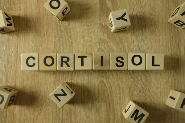 The Hidden Connection: How Stress Shapes Your Fitness and Body Composition 2 Image saying "Cortisol" and how stress Braintree impacts your wellbeing and bodies shape